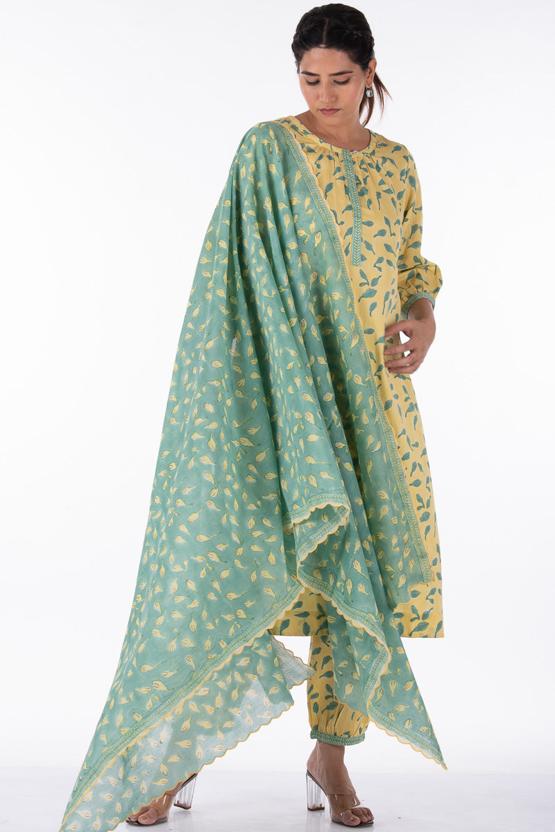 chanderi cotton silk dupattas